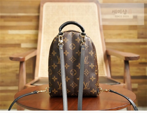 Louis Vuitton 루이비통 팜 스프링스 백팩 미니 M44873 모노그램 Bag 8번 이미지