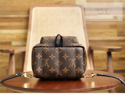 Louis Vuitton 루이비통 팜 스프링스 백팩 미니 M44873 모노그램 Bag 16번 이미지