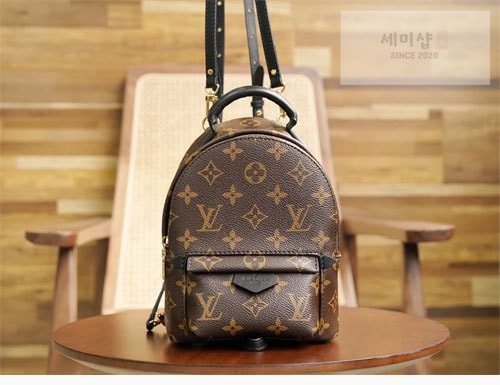 Louis Vuitton 루이비통 팜 스프링스 백팩 미니 M44873 모노그램 Bag 9번 이미지