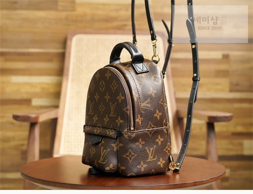 Louis Vuitton 루이비통 팜 스프링스 백팩 미니 M44873 모노그램 Bag 1번 이미지