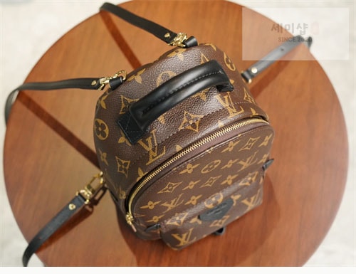 Louis Vuitton 루이비통 팜 스프링스 백팩 미니 M44873 모노그램 Bag 3번 이미지