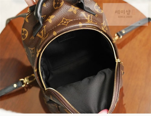 Louis Vuitton 루이비통 팜 스프링스 백팩 미니 M44873 모노그램 Bag 12번 이미지