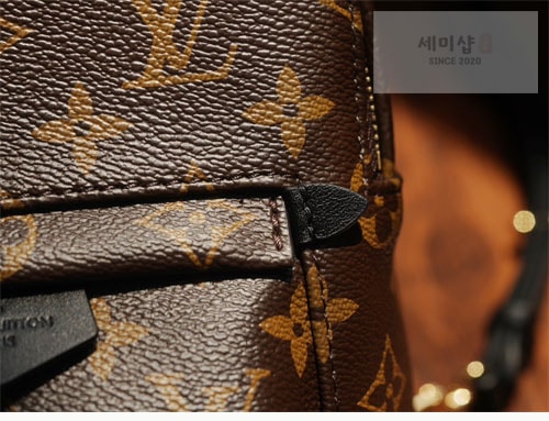 Louis Vuitton 루이비통 팜 스프링스 백팩 미니 M44873 모노그램 Bag 4번 이미지