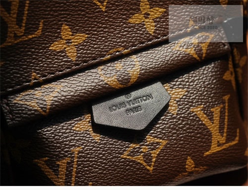 Louis Vuitton 루이비통 팜 스프링스 백팩 미니 M44873 모노그램 Bag 17번 이미지