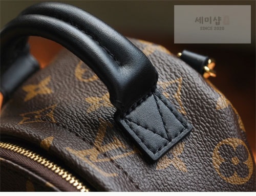 Louis Vuitton 루이비통 팜 스프링스 백팩 미니 M44873 모노그램 Bag 14번 이미지