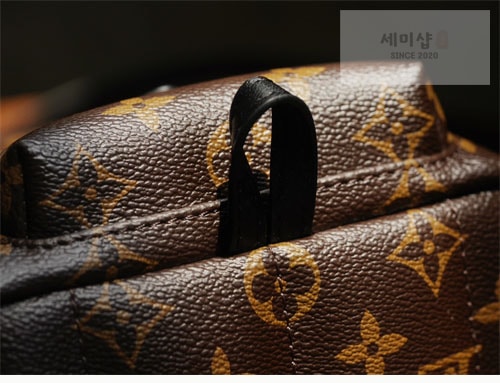 Louis Vuitton 루이비통 팜 스프링스 백팩 미니 M44873 모노그램 Bag 5번 이미지
