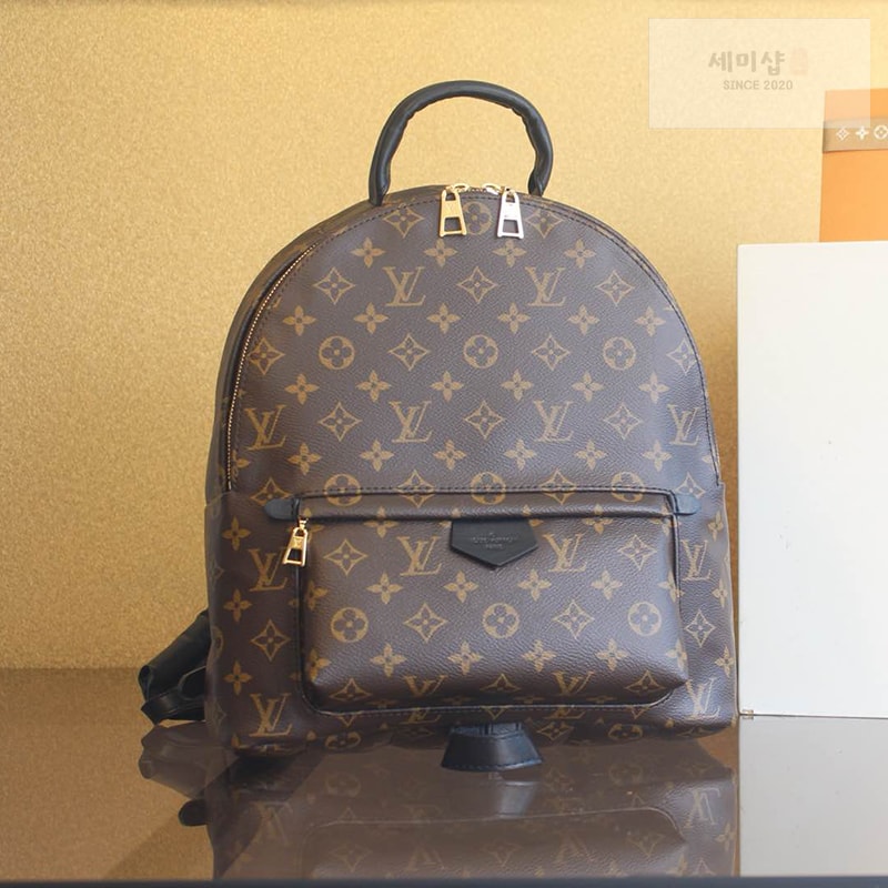 Louis Vuitton 루이비통 팜 스프링스 MM 백팩 모노그램 M44874 모노그램 Bag 1번 이미지