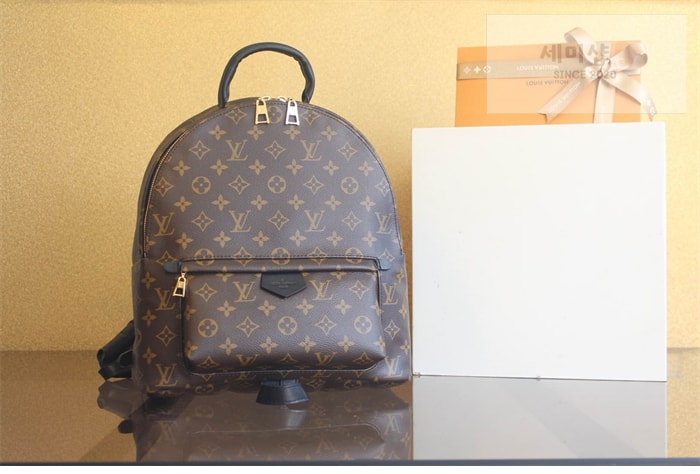 Louis Vuitton 루이비통 팜 스프링스 MM 백팩 모노그램 M44874 모노그램 Bag 3번 이미지