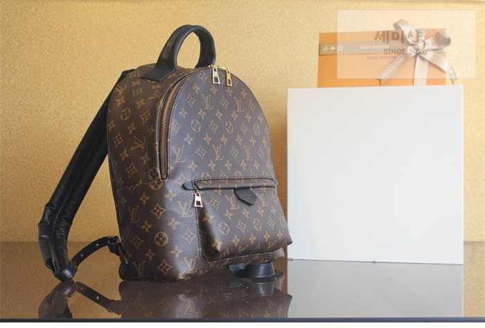 Louis Vuitton 루이비통 팜 스프링스 MM 백팩 모노그램 M44874 모노그램 Bag 4번 이미지