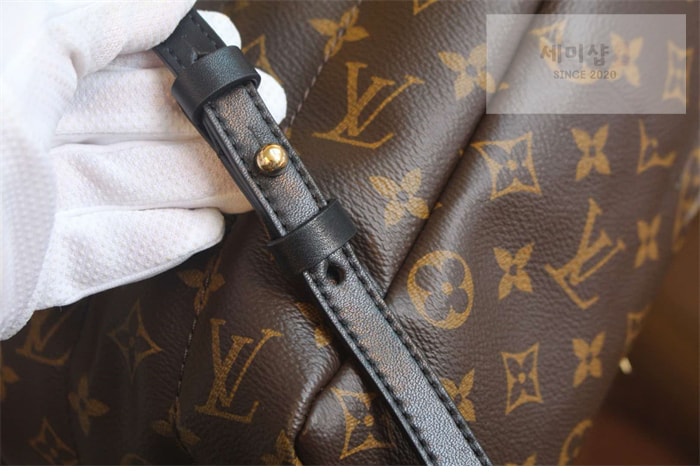 Louis Vuitton 루이비통 팜 스프링스 MM 백팩 모노그램 M44874 모노그램 Bag 9번 이미지