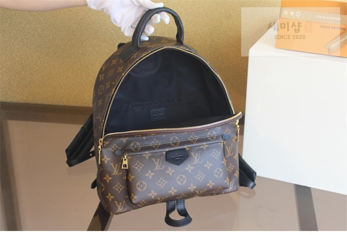 Louis Vuitton 루이비통 팜 스프링스 MM 백팩 모노그램 M44874 모노그램 Bag 11번 이미지
