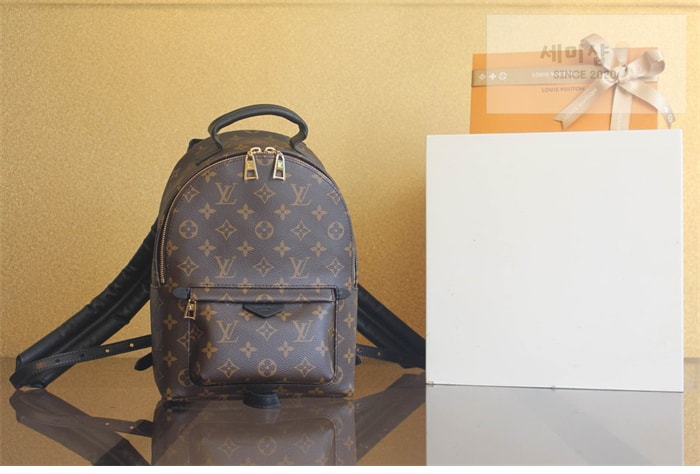 Louis Vuitton 루이비통 팜 스프링스 PM 백팩 모노그램 M44871 모노그램 Bag 1번 이미지