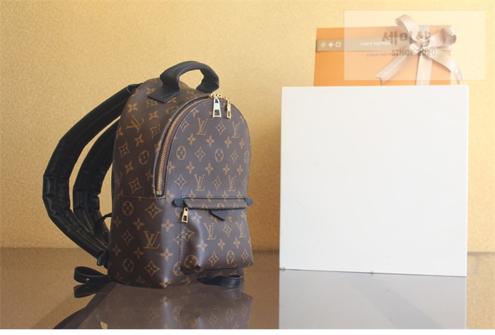 Louis Vuitton 루이비통 팜 스프링스 PM 백팩 모노그램 M44871 모노그램 Bag 6번 이미지