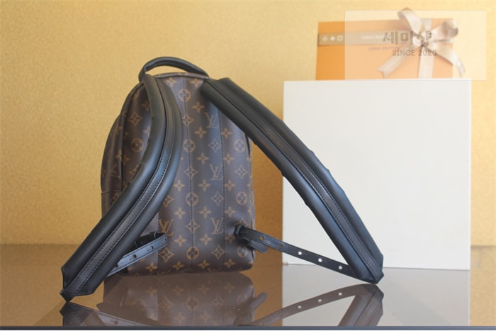 Louis Vuitton 루이비통 팜 스프링스 PM 백팩 모노그램 M44871 모노그램 Bag 2번 이미지