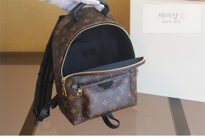 Louis Vuitton 루이비통 팜 스프링스 PM 백팩 모노그램 M44871 모노그램 Bag 3번 이미지