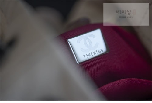 C H A N E L 샤넬 가브리엘 백팩 스몰 베이지 Bag 18번 이미지