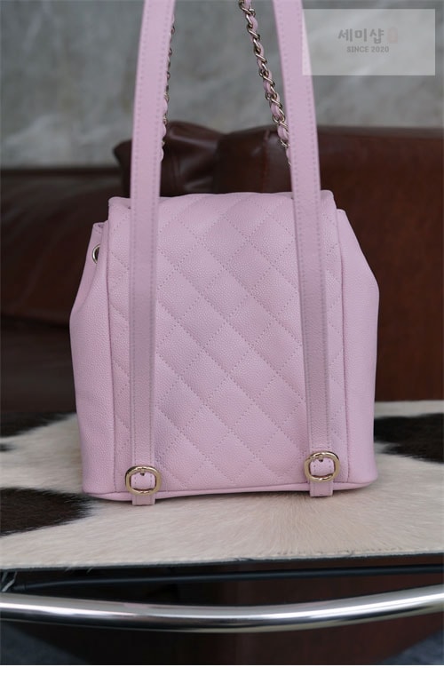 C H A N E L 샤넬 23P HAAS 더블 포켓 듀마 백백 핑크 파우더핑크 Bag 12번 이미지