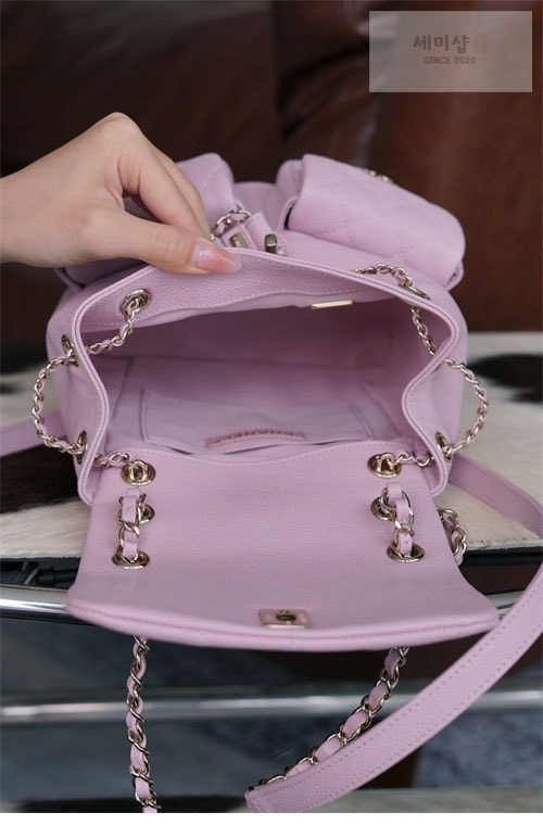 C H A N E L 샤넬 23P HAAS 더블 포켓 듀마 백백 핑크 파우더핑크 Bag 13번 이미지