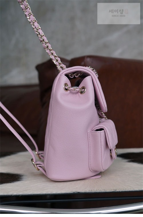 C H A N E L 샤넬 23P HAAS 더블 포켓 듀마 백백 핑크 파우더핑크 Bag 18번 이미지