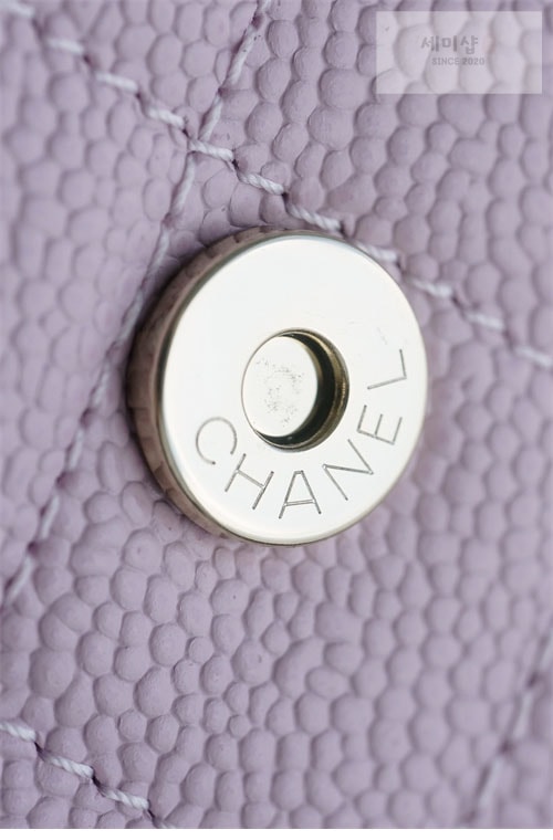 C H A N E L 샤넬 23P HAAS 더블 포켓 듀마 백백 핑크 파우더핑크 Bag 16번 이미지