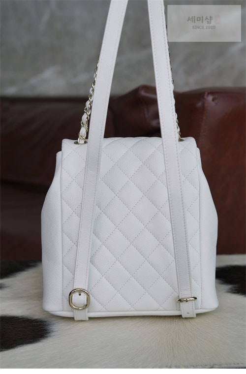 C H A N E L 샤넬 24A HAAS 더블 포켓 듀마 백백 화이트 화이트 Bag 5번 이미지