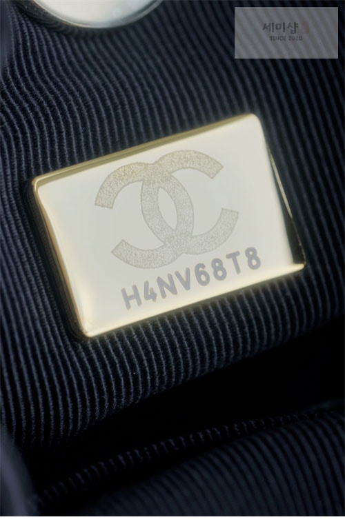 C H A N E L 샤넬 24P 듀마 백팩 블랙 블랙 Bag 5번 이미지