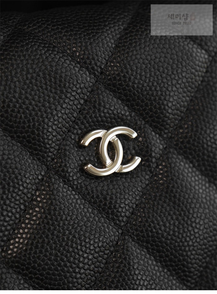 C H A N E L 샤넬 25C HAAS 호보 백 블랙 Bag 11번 이미지