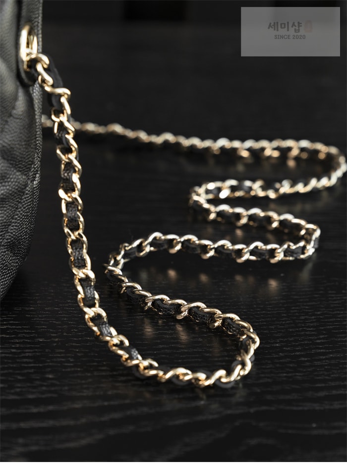 C H A N E L 샤넬 25C HAAS 호보 백 블랙 Bag 6번 이미지