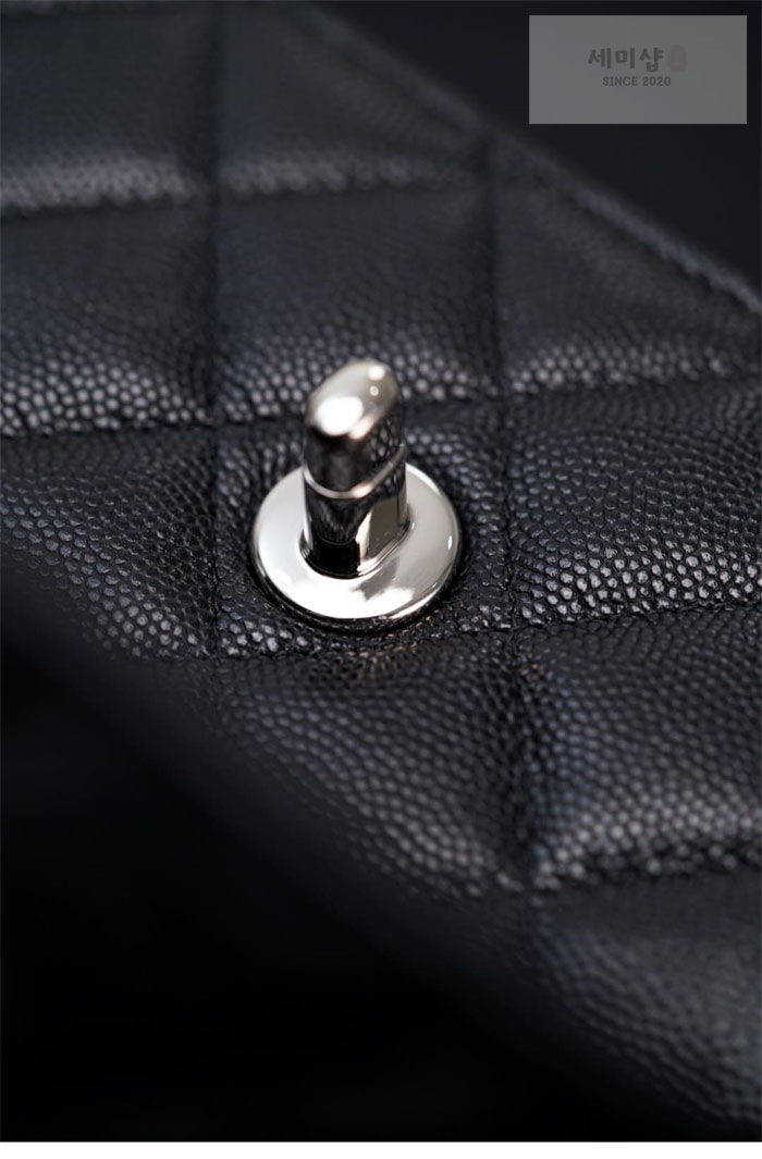 C H A N E L 샤넬 25P WOC 코코 핸들 플랩 백 블랙 Bag 5번 이미지