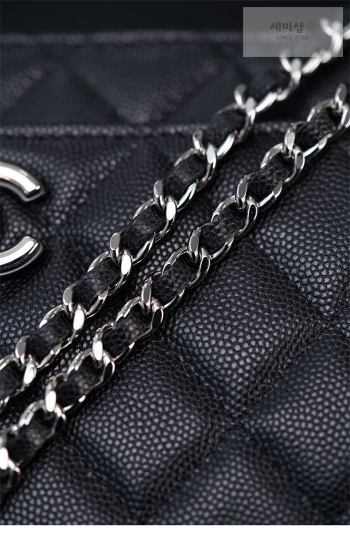 C H A N E L 샤넬 25P WOC 코코 핸들 플랩 백 블랙 Bag 11번 이미지