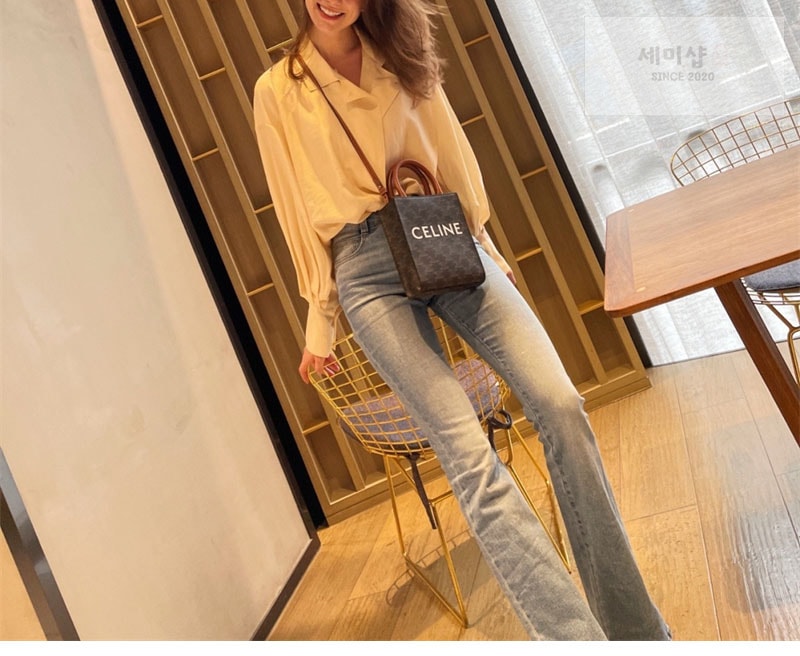셀린느 셀린느 미니 버티컬 카바스 토트백 트리옹프 캔버스 194372 탄 Bag 1번 이미지