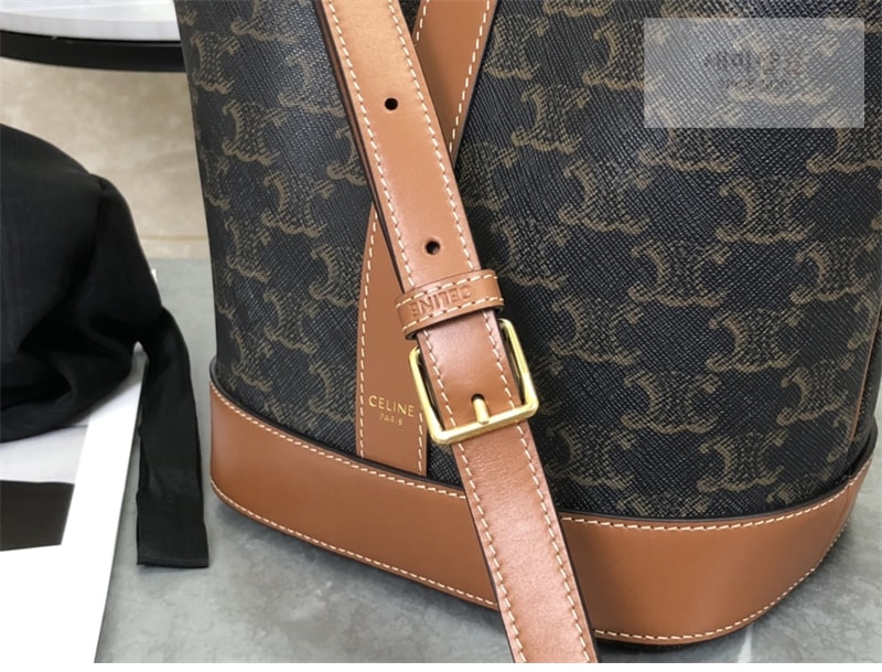 셀린느 셀린느 스몰 버킷백 트리옹프 캔버스 탄 191442 Bag 17번 이미지
