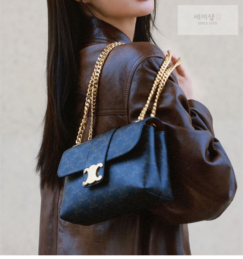C E L I N E 셀린느 틴 빅투아르 숄더백 트리옹프 캔버스 116592 Bag 1번 이미지