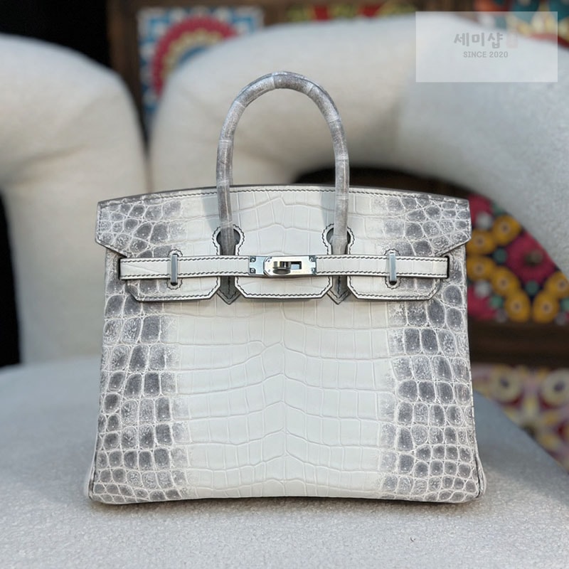 Hermes 에르메스 버킨 25 악어가죽 Bag 5번 이미지