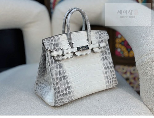 Hermes 에르메스 버킨 25 악어가죽 Bag 15번 이미지