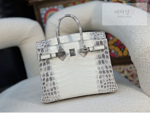 Hermes 에르메스 버킨 25 악어가죽 Bag 1번 이미지