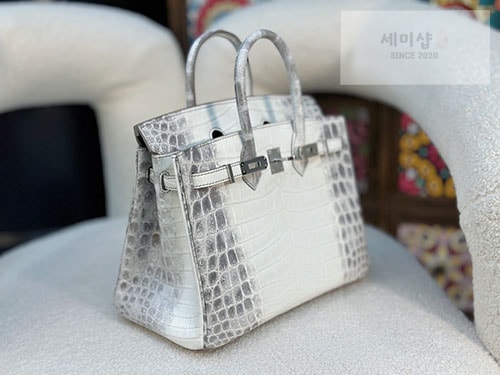 Hermes 에르메스 버킨 25 악어가죽 Bag 6번 이미지