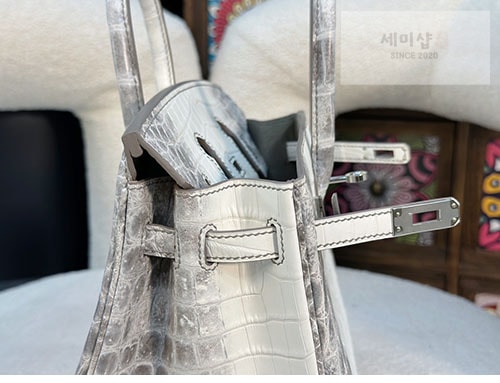 Hermes 에르메스 버킨 25 악어가죽 Bag 16번 이미지