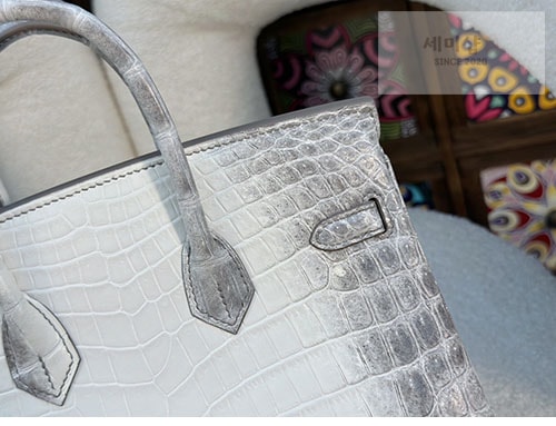 Hermes 에르메스 버킨 25 악어가죽 Bag 12번 이미지