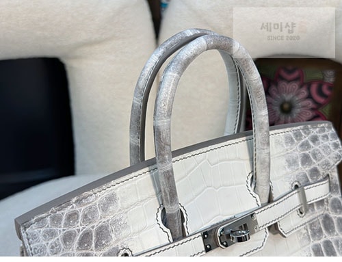 Hermes 에르메스 버킨 25 악어가죽 Bag 17번 이미지