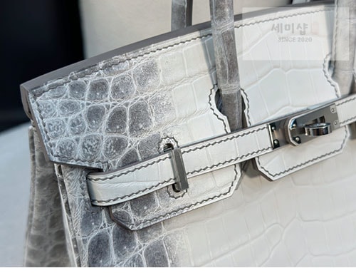 Hermes 에르메스 버킨 25 악어가죽 Bag 8번 이미지