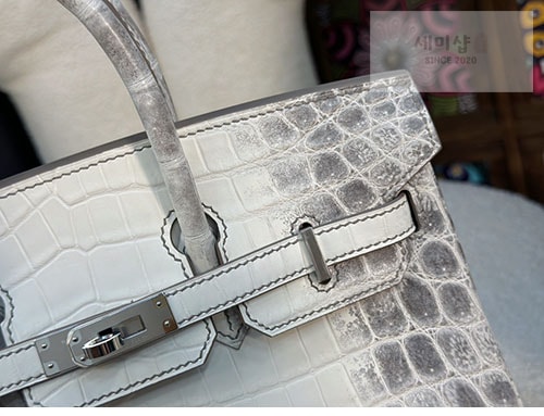 Hermes 에르메스 버킨 25 악어가죽 Bag 13번 이미지