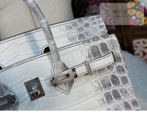 Hermes 에르메스 버킨 25 악어가죽 Bag 18번 이미지