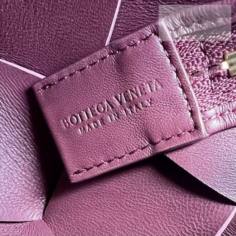 Bottega Veneta Bottega Veneta Small Cassette Camera Bag Bag 5번 이미지