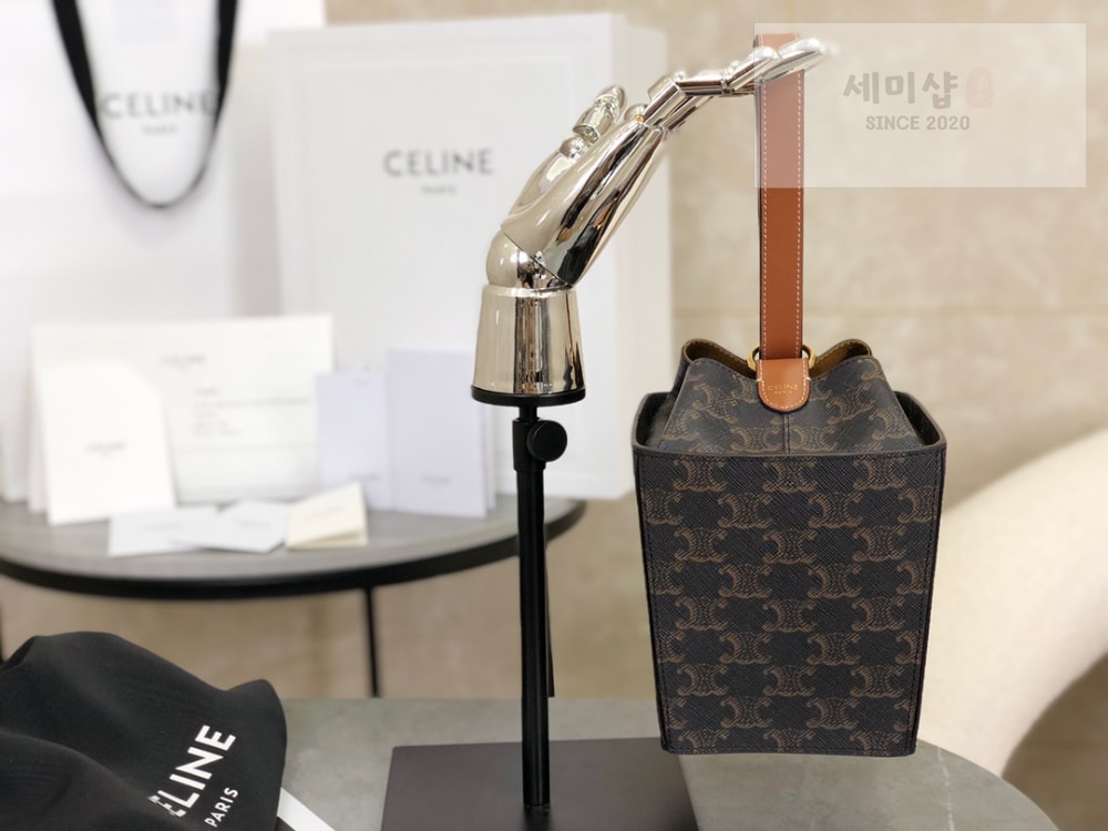 C E L I N E Celine Strap Box Triomphe Canvas and Calfskin Bag 1번 이미지
