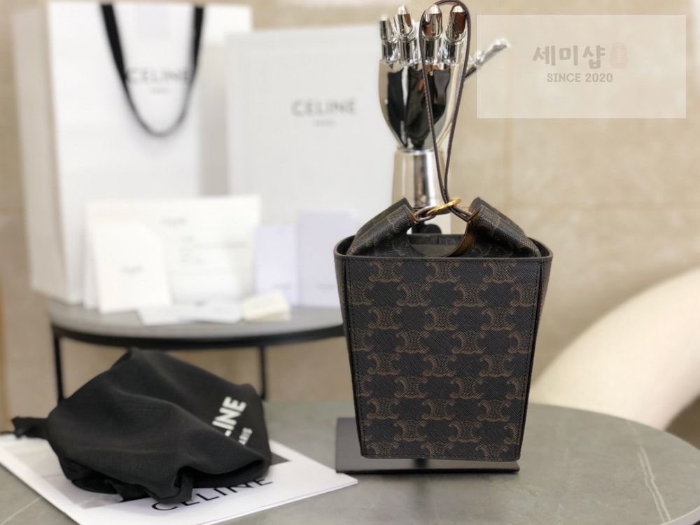 C E L I N E Celine Strap Box Triomphe Canvas and Calfskin Bag 2번 이미지