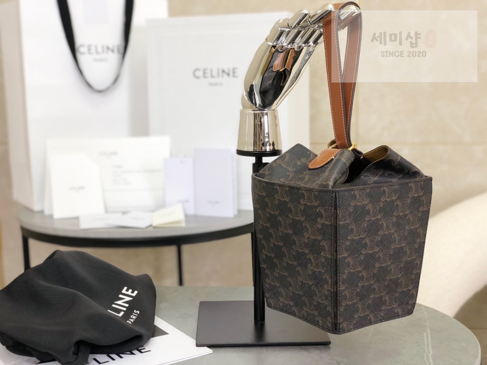 C E L I N E Celine Strap Box Triomphe Canvas and Calfskin Bag 3번 이미지