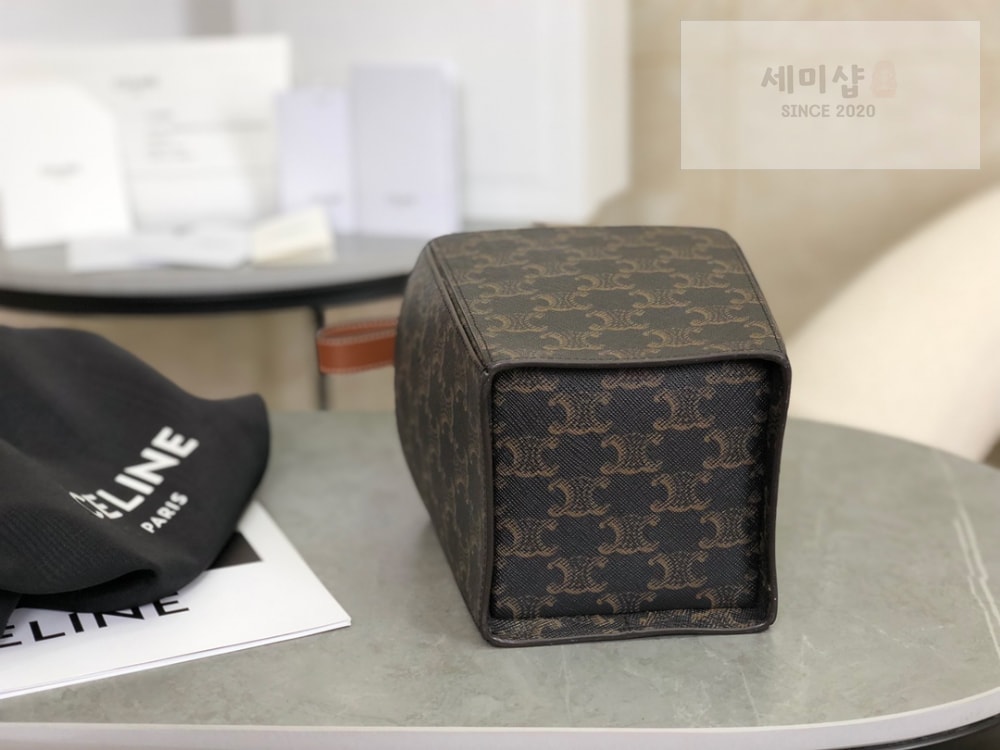 C E L I N E Celine Strap Box Triomphe Canvas and Calfskin Bag 4번 이미지