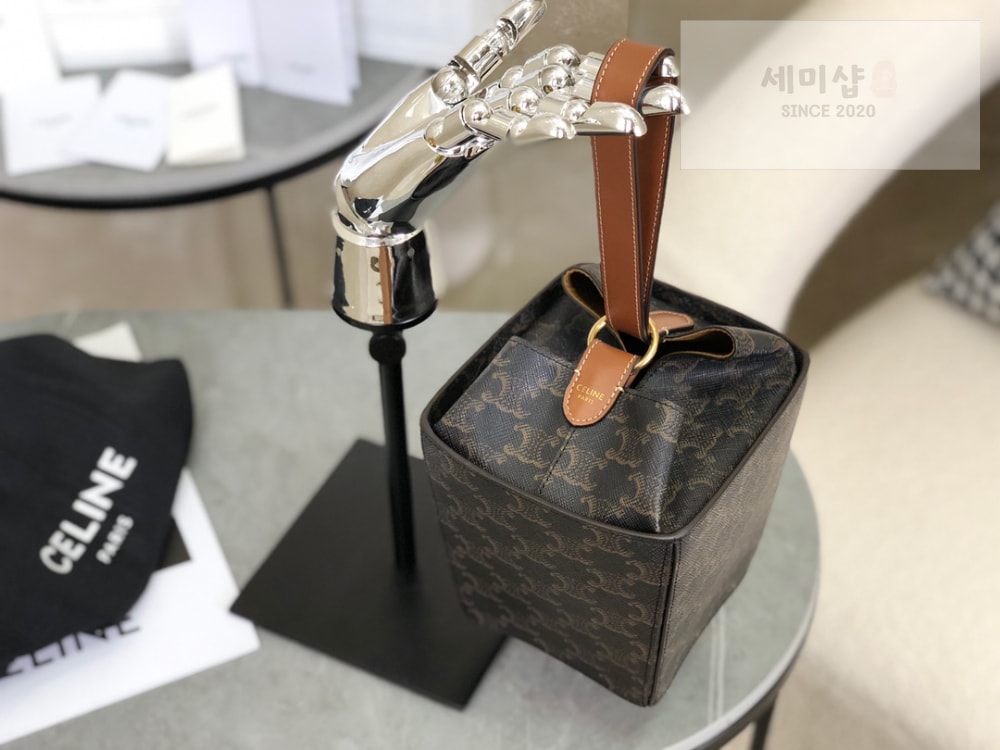 C E L I N E Celine Strap Box Triomphe Canvas and Calfskin Bag 5번 이미지