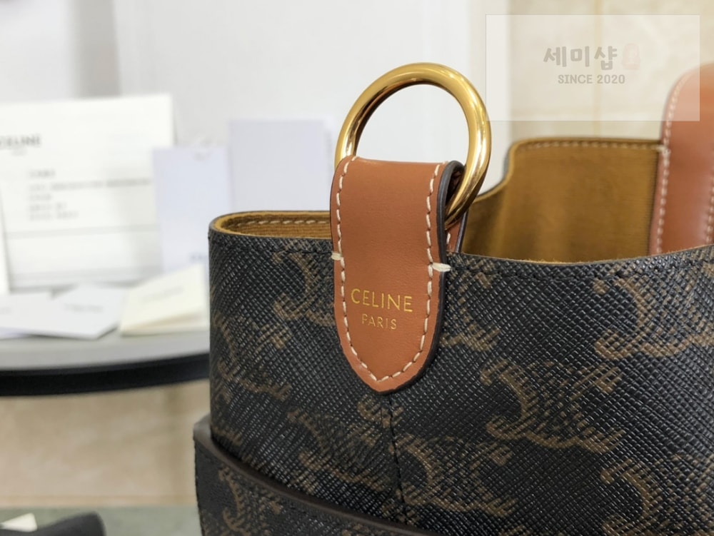 C E L I N E Celine Strap Box Triomphe Canvas and Calfskin Bag 9번 이미지